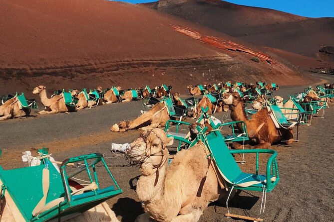 Lanzarote Grand Tour - Jameos del Agua: the lava cave stop you’ll remember