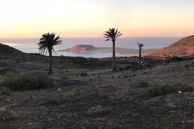 Lanzarote Highlights. Private Tour with Pickup (price per vehicle, not p.p.) - Jardin de Cactus and Lagomar Museum: Two Ways to See Lanzarote’s Imagination