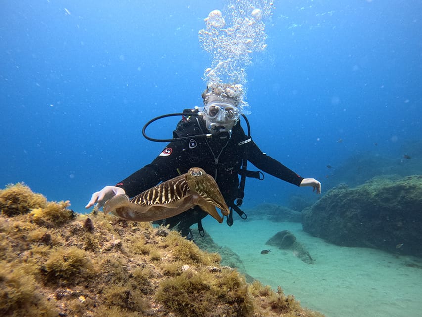 Lanzarote: Intro to Diving Experience for Beginners - Key highlights worth your time