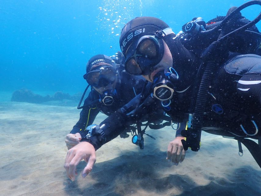 Lanzarote: Intro to Diving Experience for Beginners - Should You Book Pro Dive Lanzarote for Your First Time?
