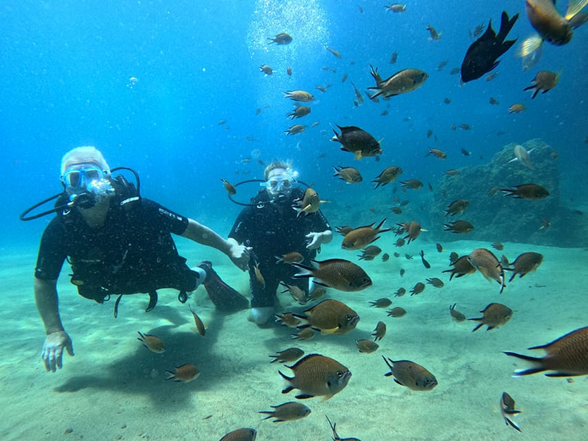 Lanzarote: Intro to Diving Experience for Beginners - Lanzarote’s Clear Coves: What Makes This First Underwater Session Work