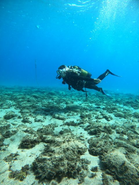 Lanzarote: Intro to Diving Experience for Beginners - Price and Value at $87: What You Get for Your Money