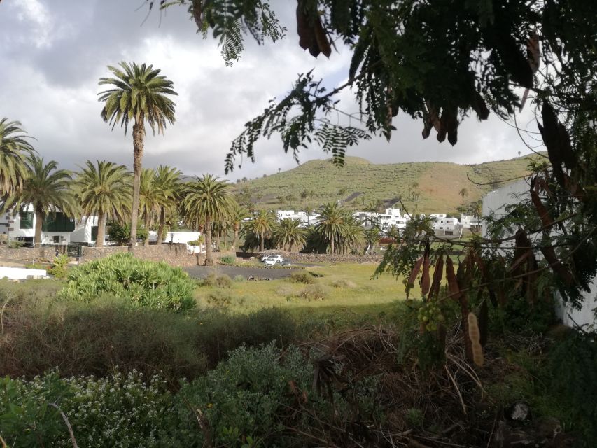 Lanzarote: Jameos del Agua & North Island for Cruise Guests - Village Drives on the Way Back: Arrieta, Guatiza, and Teguise