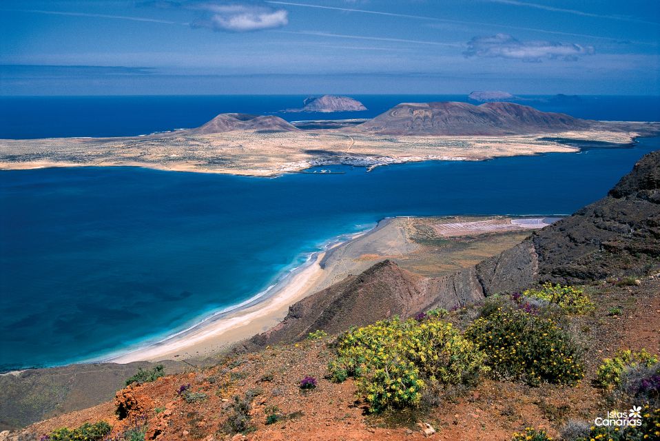 Lanzarote: Jameos del Agua & North Island for Cruise Guests - Timing, Energy, and What This Tour Feels Like in Real Life