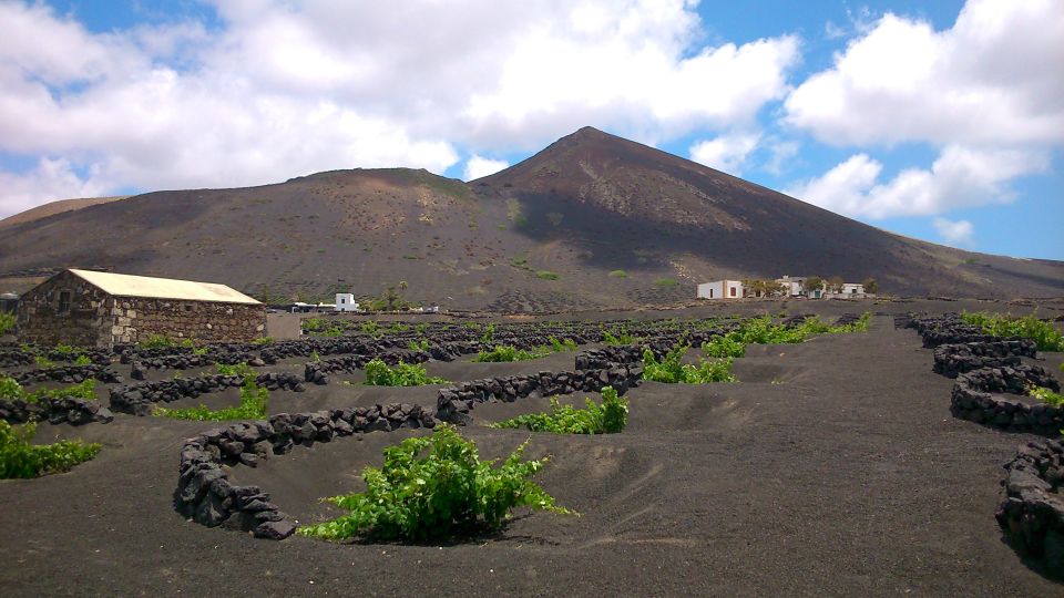 Lanzarote: La Geria Vineyards Hiking Tour - Key highlights before you go