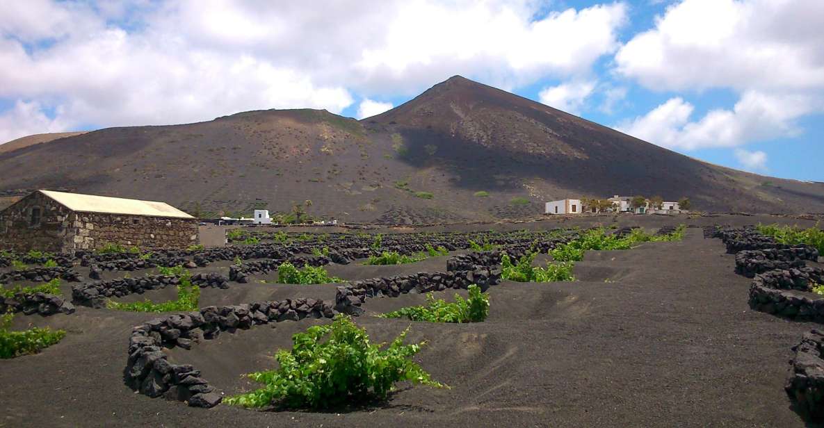 Lanzarote: La Geria Vineyards Hiking Tour - Who should book this La Geria hiking tour