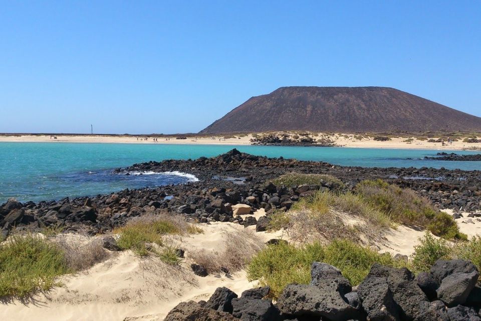 Lanzarote: Lobos Island Half-Day Dolphin Watching Trip - The Picnic Lunch and Drinks: Simple, Useful, and Mostly Well Received