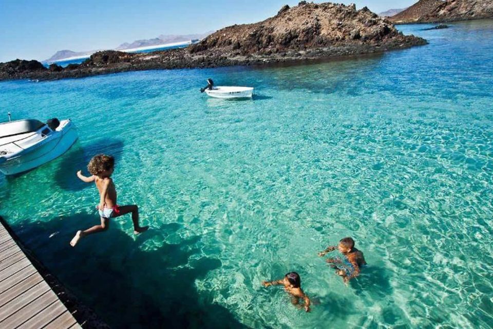 Lanzarote: Lobos Island Half-Day Dolphin Watching Trip - Price and Value: Is $85 a Fair Deal?