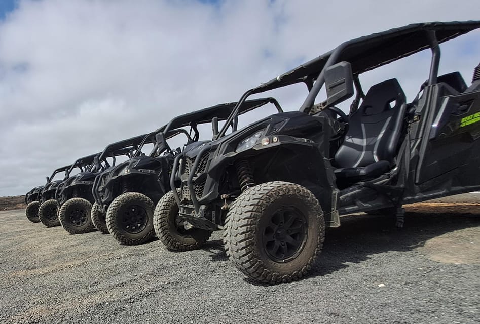 Lanzarote: Mix tour Guided Buggy Volcano Tour 4 or 6 seater - Key things I’d focus on before you book