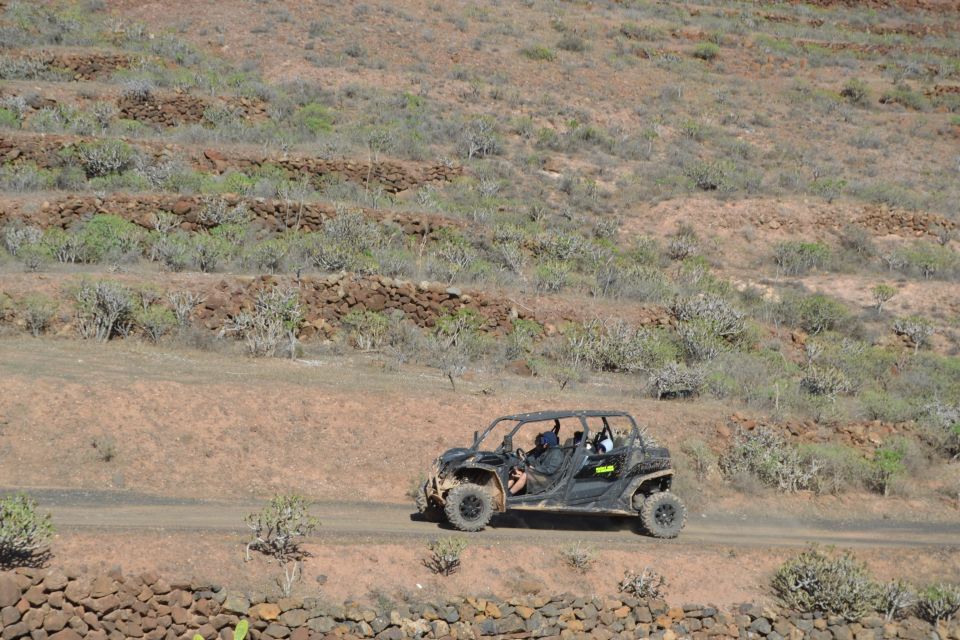 Lanzarote: Mix tour Guided Buggy Volcano Tour 4 or 6 seater - Price and value: $212 per group, not per person drama