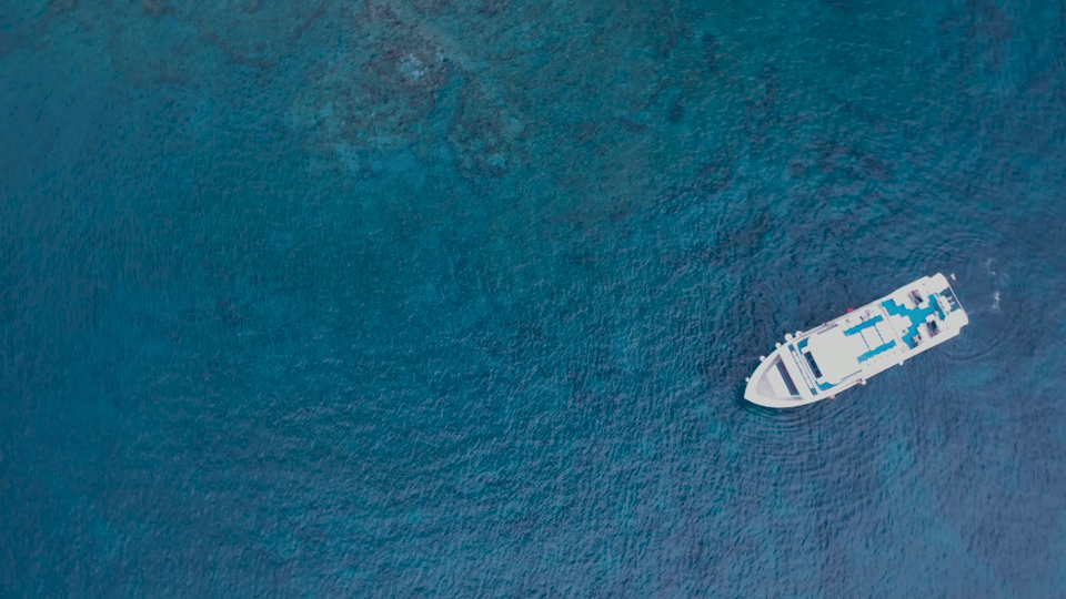Lanzarote: Puerto del Carmen & Puerto Calero Boat Transfer - A 25-Minute Water Bus That Changes Your Lanzarote Day