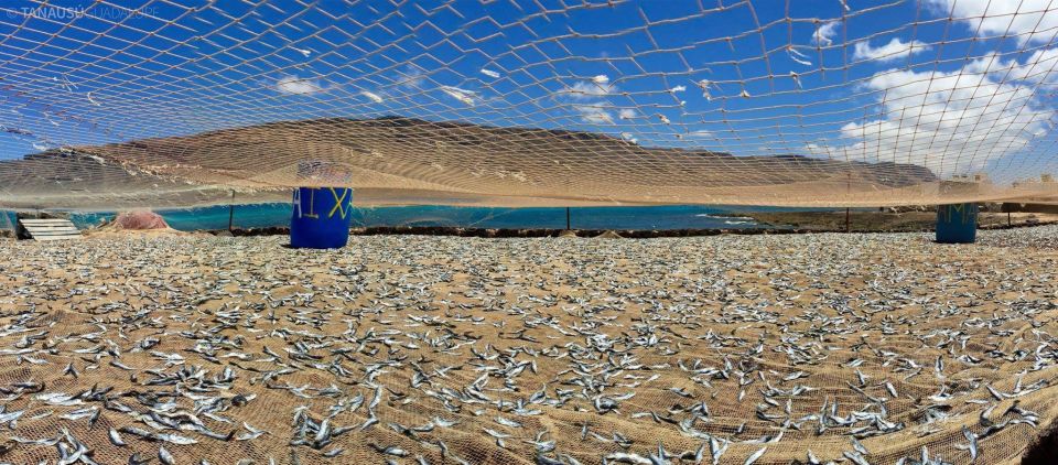 Lanzarote: Return Ferry to La Graciosa with Bus Pickup - Price and Value: What You’re Really Paying For