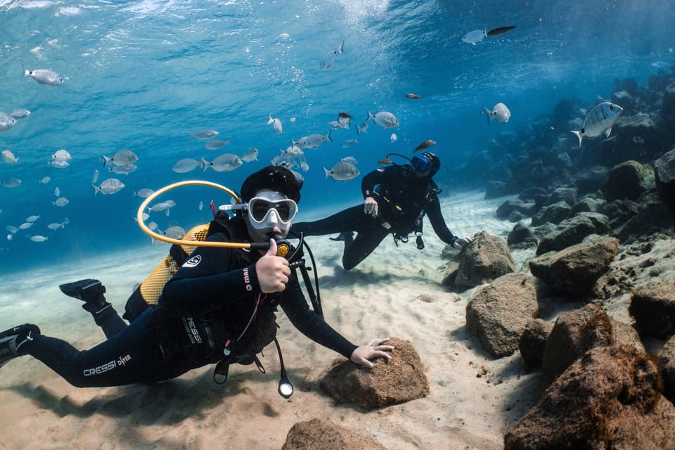 Lanzarote: Scuba Diving for Beginners with 2 Dives - The 5-Meter Skills Session: Calm Water and Real Confidence