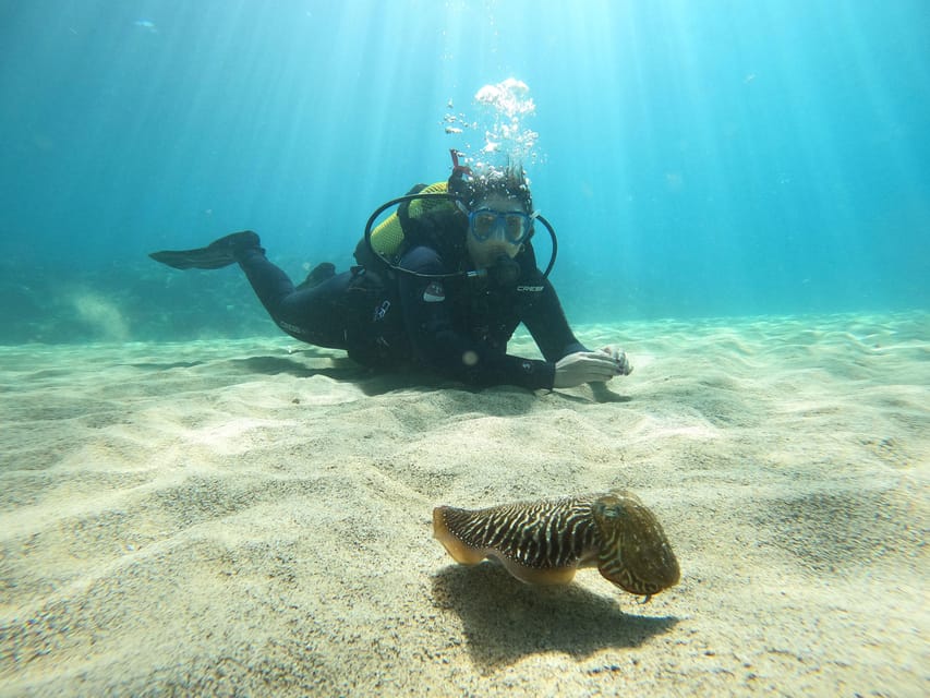 Lanzarote: Scuba Diving for Beginners with 2 Dives - Instructors That Keep It Calm: Multilingual, Attentive Teaching