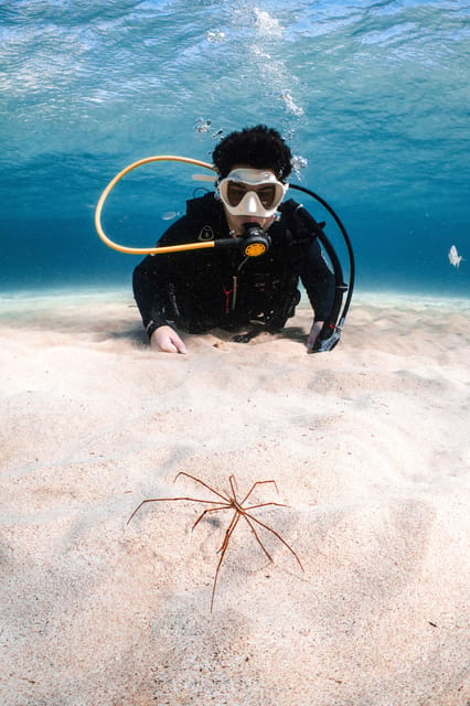 Lanzarote: Scuba Diving for Beginners with 2 Dives - Small Groups, Personal Attention, and What That Means for You