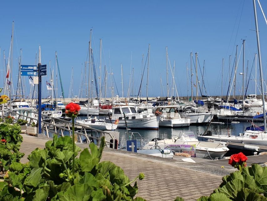 Lanzarote: Sea Safari Experience - Volcanic cliffs and open-water views: what the pacing feels like