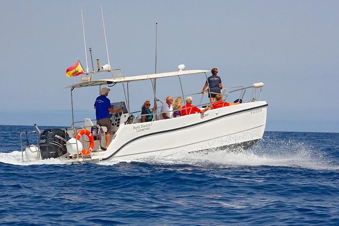 Lanzarote Sea Safari from Puerto calero - Small-Group Advantage: Better Watching, Less Noise
