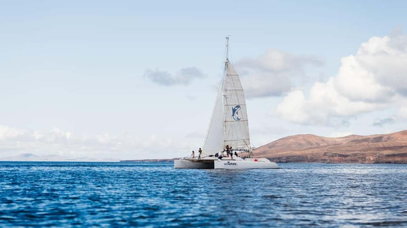 Lanzarote Sunset Experience with dolphin spotting - Where La Santa María starts: Marina Puerto Calero, Pontoon F22
