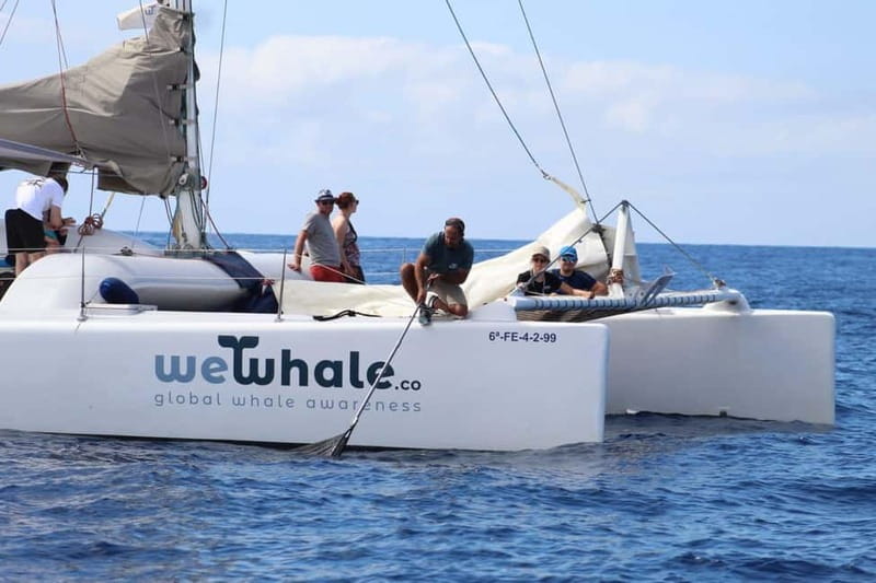 Lanzarote Sunset Experience with dolphin spotting - What you’ll do during the 2.5-hour sunset cruise