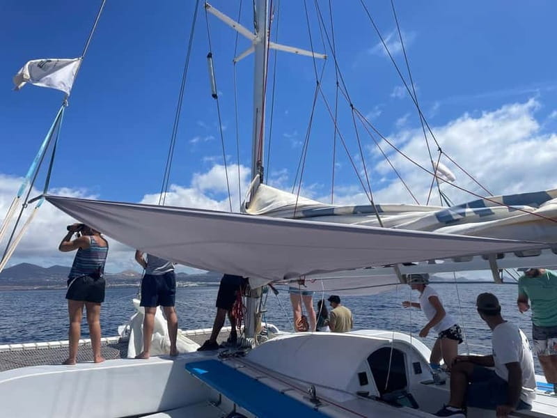 Lanzarote Sunset Experience with dolphin spotting - Dolphin spotting: what to expect and what you can’t control