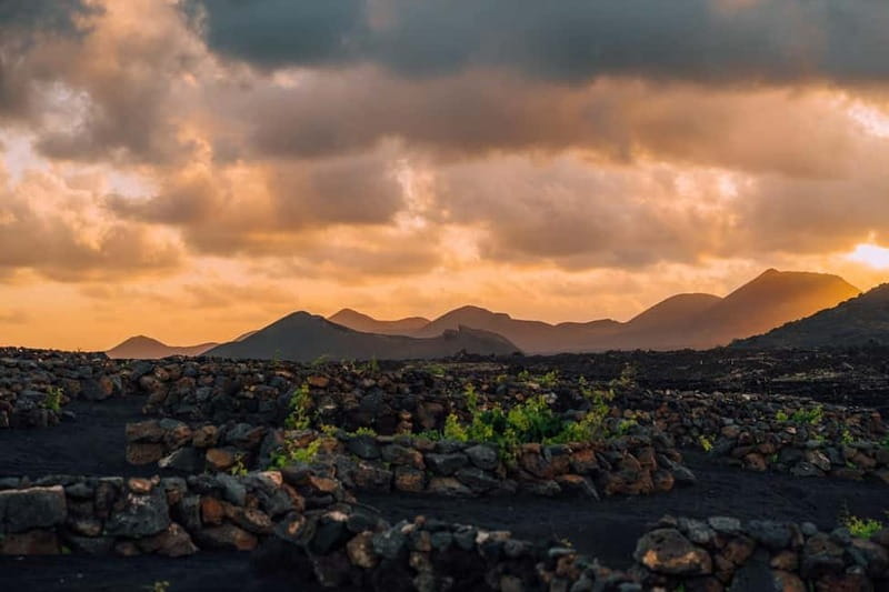 Lanzarote: Sunset vineyard tour with wine and chocolate tasting - Why Finca Testeina’s sunset walk feels like the real Lanzarote