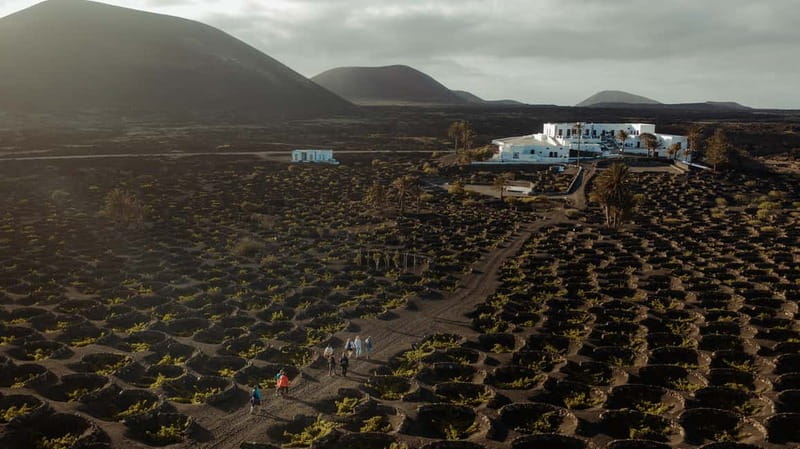 Lanzarote: Sunset vineyard tour with wine and chocolate tasting - The guided walk: vineyards, water culture, and volcano framing