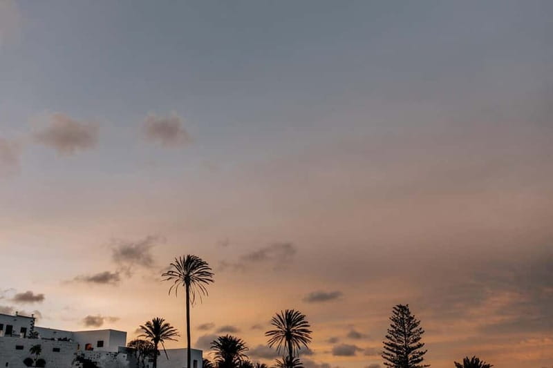 Lanzarote: Sunset vineyard tour with wine and chocolate tasting - Price and value: what $31 buys you in real terms