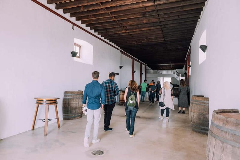 Lanzarote: Sunset vineyard tour with wine and chocolate tasting - Group size and language: how the tour stays personal