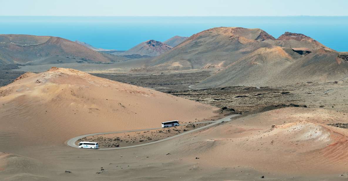 Lanzarote: Timanfaya National Park & La Geria Tour - La Geria: seeing how vines survive volcanic ground