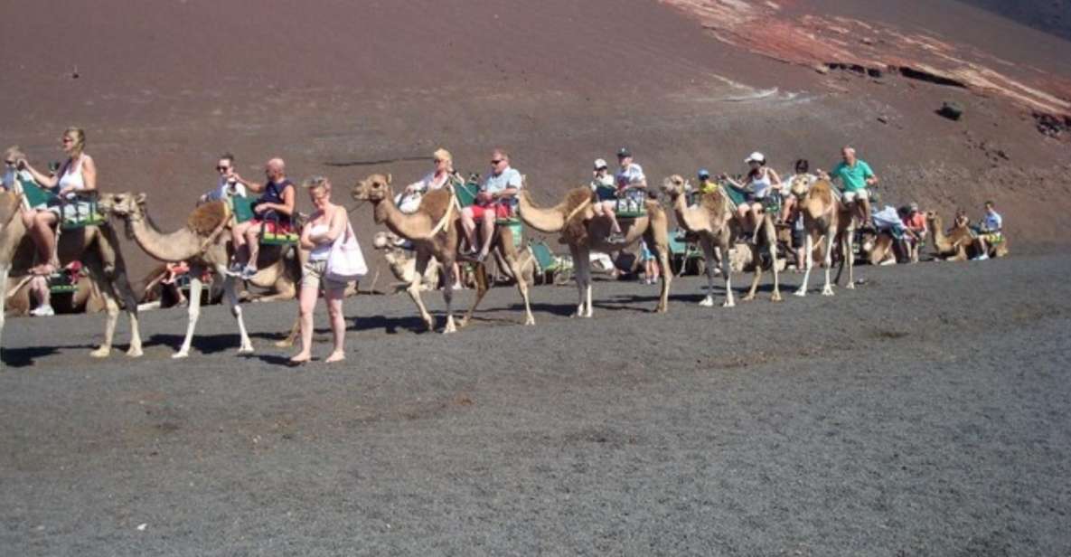 Lanzarote: Timanfaya National Park Tour - Key Points You’ll Care About