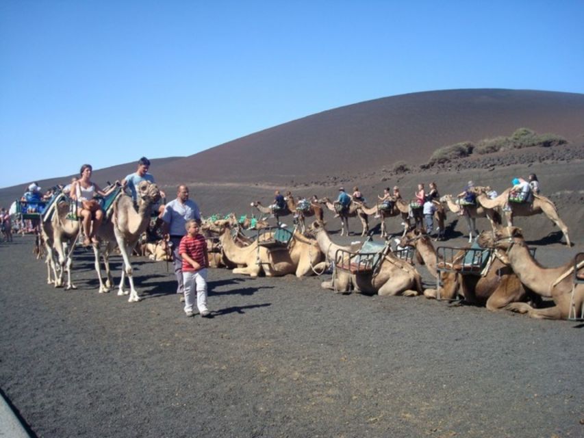 Lanzarote: Timanfaya National Park Tour - Geothermal Demonstrations: The Heat You Can Feel (Without Burning)