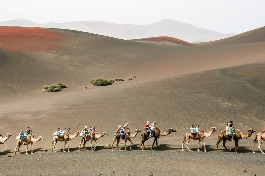 Lanzarote: Timanfaya National Park Volcanic Craters Tour - Key Points to Know Before You Go