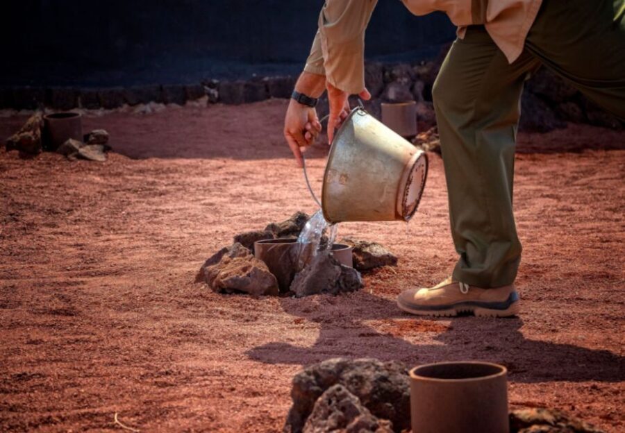Lanzarote: Timanfaya National Park Volcanic Craters Tour - Is This Tour Good Value at Around $67 Per Person?