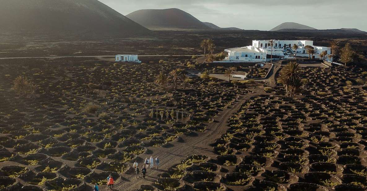 Lanzarote: Vineyard Tour with Wine and Chocolate Tasting - Key reasons this tour works