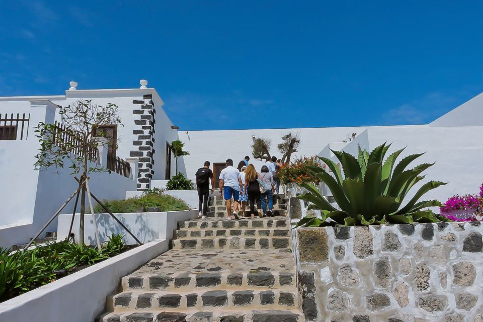 Lanzarote: Vineyard Tour with Wine and Chocolate Tasting - Finca Testeina: vineyards with Timanfaya-era context