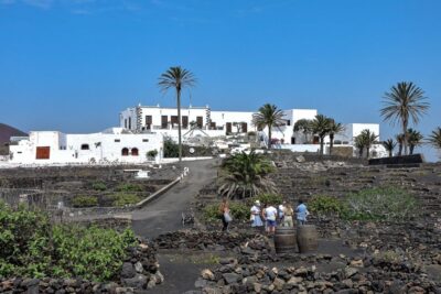Lanzarote: Vineyard Tour with Wine and Chocolate Tasting - The 90-minute flow: walk, taste, and a quick chance to buy
