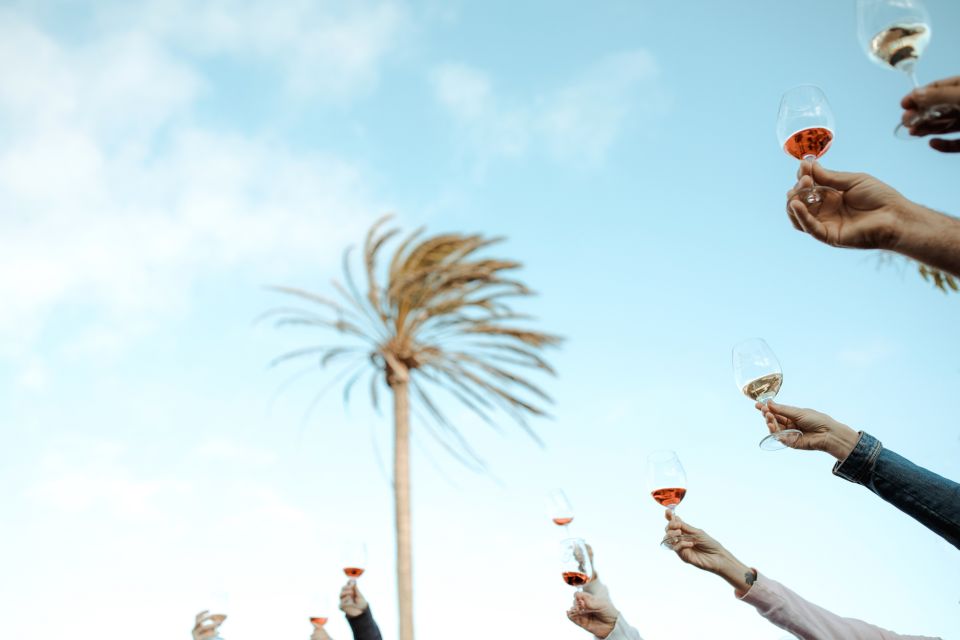 Lanzarote: Vineyard Tour with Wine and Chocolate Tasting - What the Timanfaya story adds to your glass