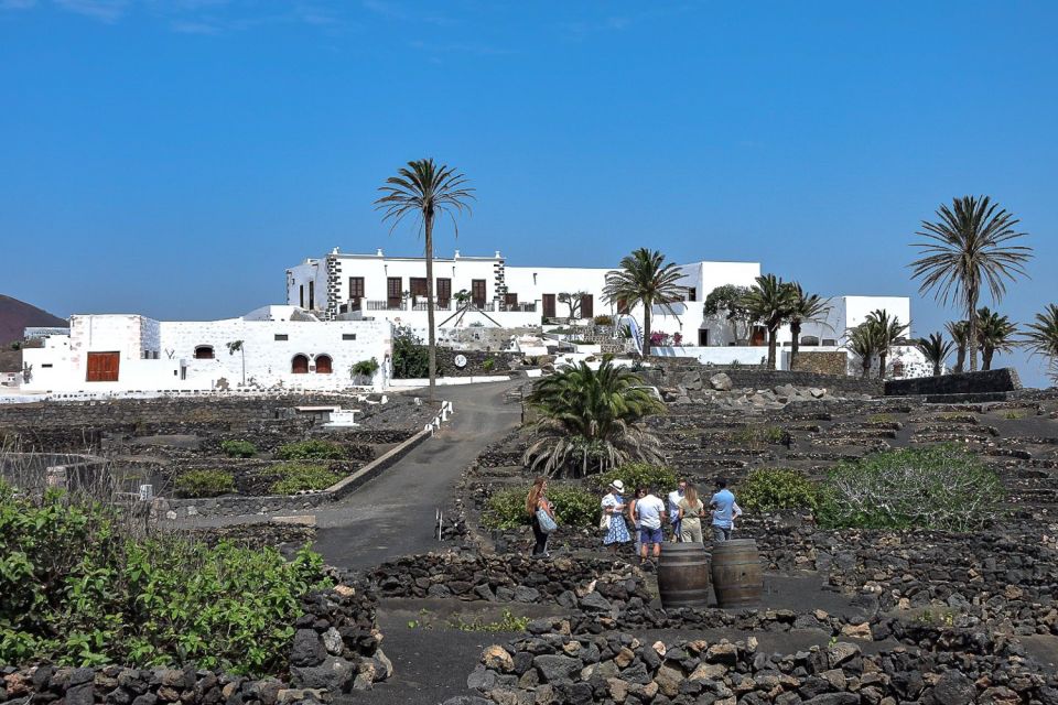 Lanzarote: Vineyard Tour with Wine and Chocolate Tasting - The 90-minute flow: walk, taste, and a quick chance to buy