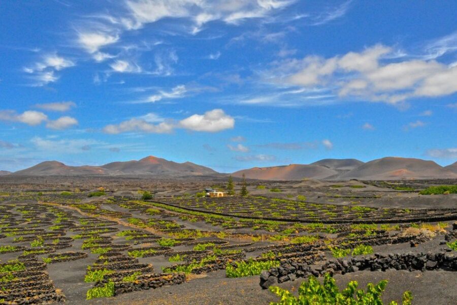 Lanzarote: Volcanos of Timanfaya and Caves Tour with Lunch - Key things to love about this Lanzarote tour