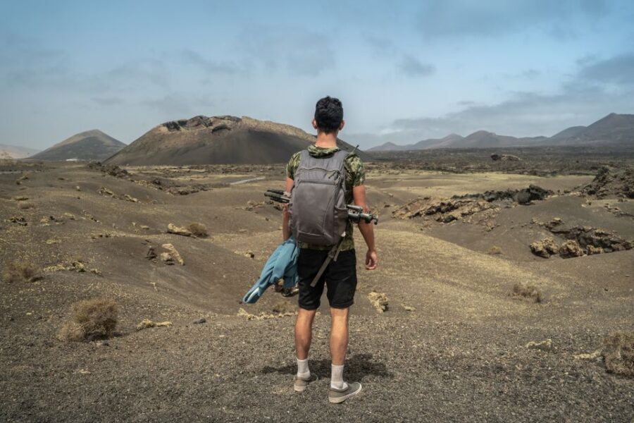 Lanzarote: Volcanos of Timanfaya and Caves Tour with Lunch - Price and value: is $112 fair for a full-day guided plan?