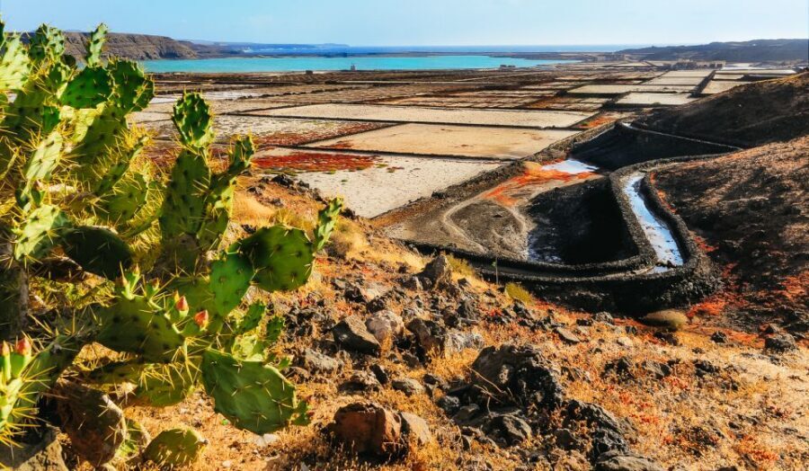 Lanzarote: Volcanos of Timanfaya and Caves Tour with Lunch - A full-day north-to-south circuit that actually feels efficient