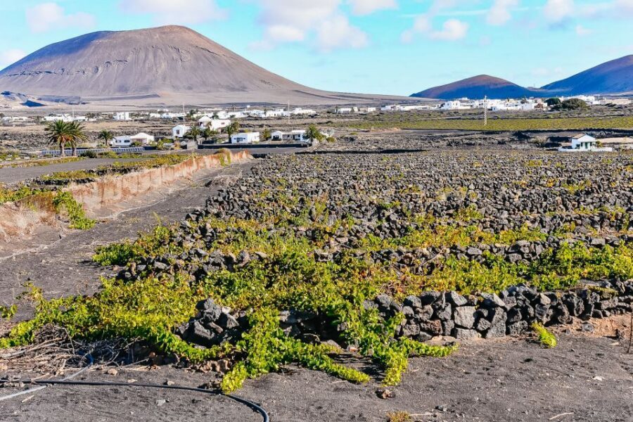 Lanzarote: Volcanos of Timanfaya and Caves Tour with Lunch - Lunch in Yaiza: convenient timing, variable opinions on the meal
