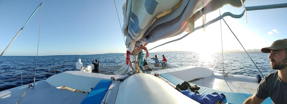 Lanzarote: Whale and Dolphin Watching Eco-Friendly Catamaran - Who should book this tour, and who should skip it