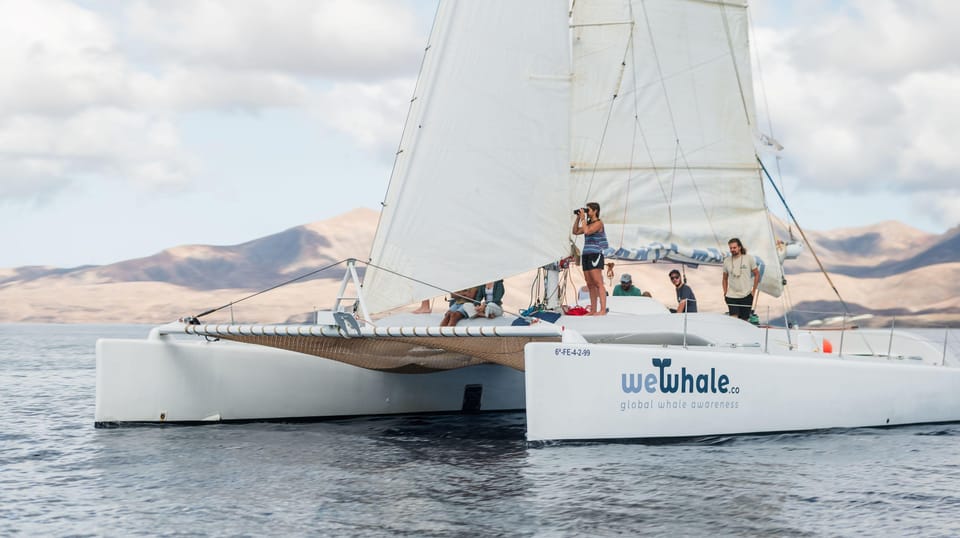 Lanzarote: Whale and Dolphin Watching Eco-Friendly Catamaran - Why Lanzarote’s electric catamaran setup changes the game