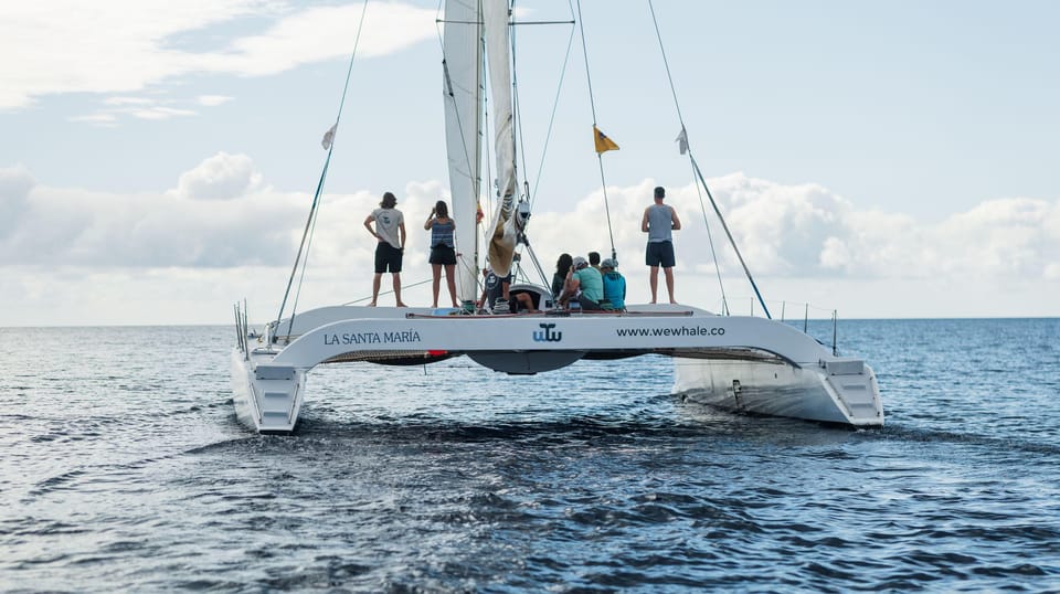 Lanzarote: Whale and Dolphin Watching Eco-Friendly Catamaran - Whales, dolphins, and the hydrophone experience you can really use
