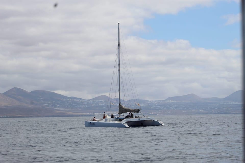 Lanzarote: Whale and Dolphin Watching Eco-Friendly Catamaran - Getting to Puerto Calero Dock F22 (and what to plan for)