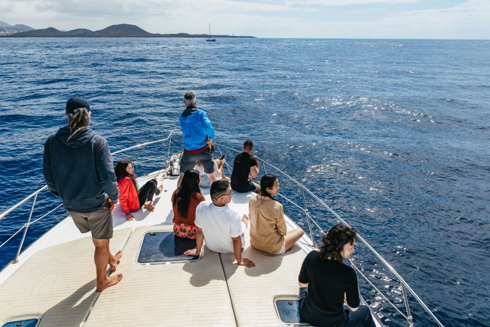 Las Galletas: Whale & Dolphin Tour with Local Skipper - Should you book the Las Galletas whale and dolphin tour?