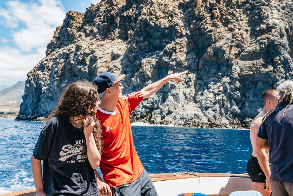Las Galletas: Whale & Dolphin Tour with Local Skipper - The swim and snorkel anchor stop: the best part when conditions cooperate