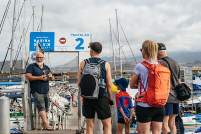 Las Galletas: Whale & Dolphin Tour with Local Skipper - Where the crew looks for whales, dolphins, and turtles