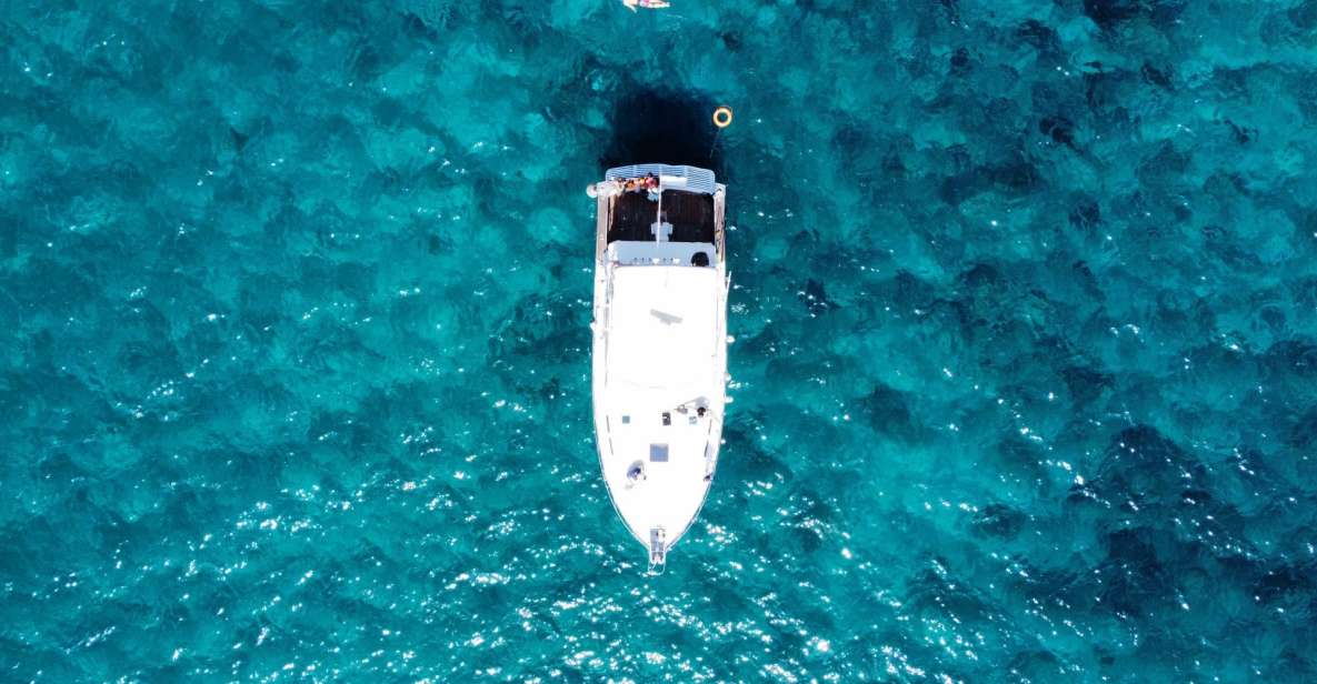Las Galletas: Whale & Dolphin Tour with Local Skipper - Homemade lunch onboard: local food tastes better with salt air